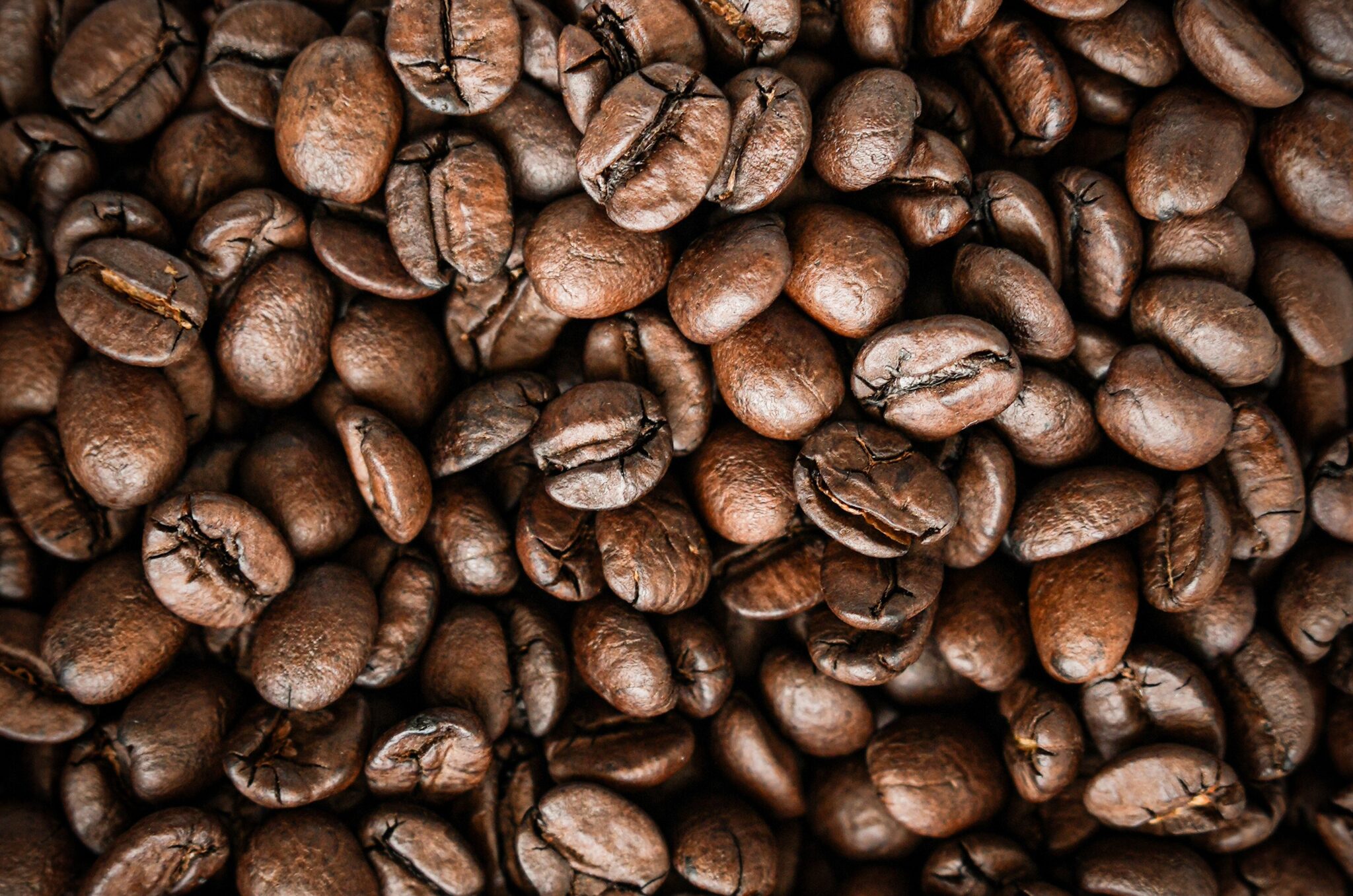 fotografia kulinarna, fotografia jedzenie, ciasta, kursy foto, warsztaty fotograficzne,